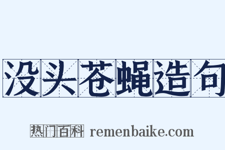 没头苍蝇造句是什么意思的图片